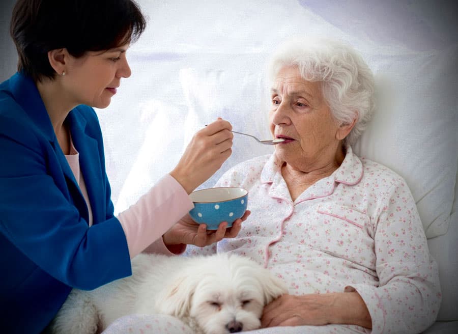 Acompañamiento postoperatorio a domicilio en A Coruña